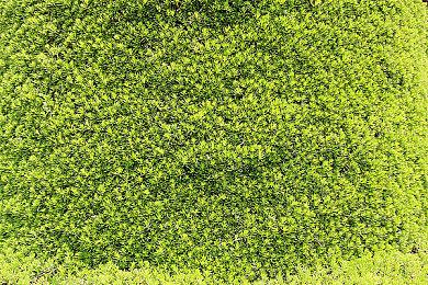 随着《使命召唤》回归Xbox 索尼开始砸重金宣传《战地6》