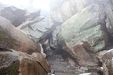 流媒体迪士尼+去年丢失了240万订阅用户