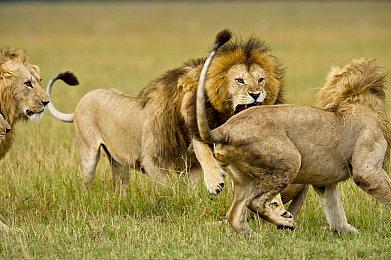 《刺客信条：影》有季节变化 每个季节的玩法各不相同