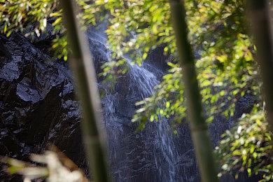 《守望先锋2》皮肤上架一天后免费送 玩家愤怒要求退款